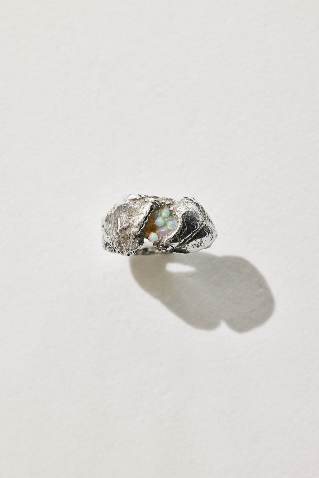 Conversation between Opal and Rose Ring